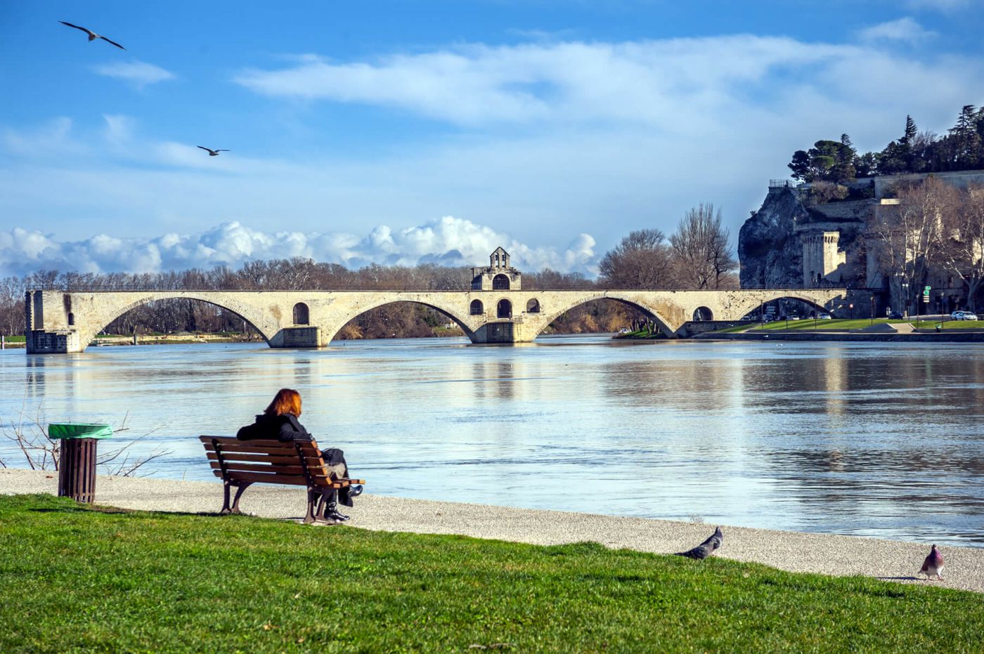 le fameux pont d'Avignon